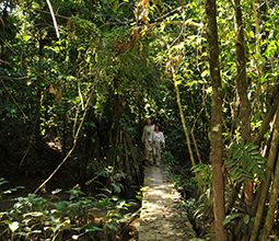 Tourists exploring the Reserve